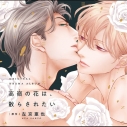 【データ販売】高嶺の花は、散らされたい【オーディオドラマ】(ドラマCD音声)【出演声優:寺島拓篤 田所陽向 石谷春貴】の画像