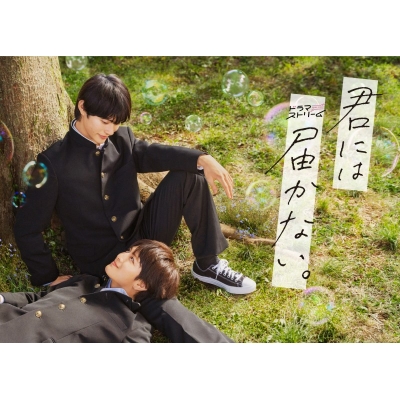【ポイント20%還元】【DVD】TV ドラマ 君には届かない。 DVD-BOX