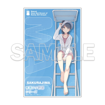 小説】青春ブタ野郎はビーチクイーンの夢を見ない＋ 専門店限定セット 