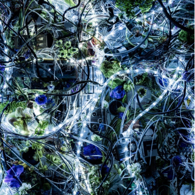 【主題歌】TV 甲鉄城のカバネリ ED「ninelie EP」/Aimer 通常盤