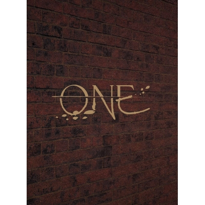 【DVD】READING HIGH 『ONE ~The last of 新選組~』【完全生産限定版】