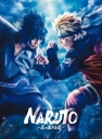 【DVD】舞台 ライブ・スペクタクル「NARUTO-ナルト-」~忍の生きる道~ 完全生産限定版の画像