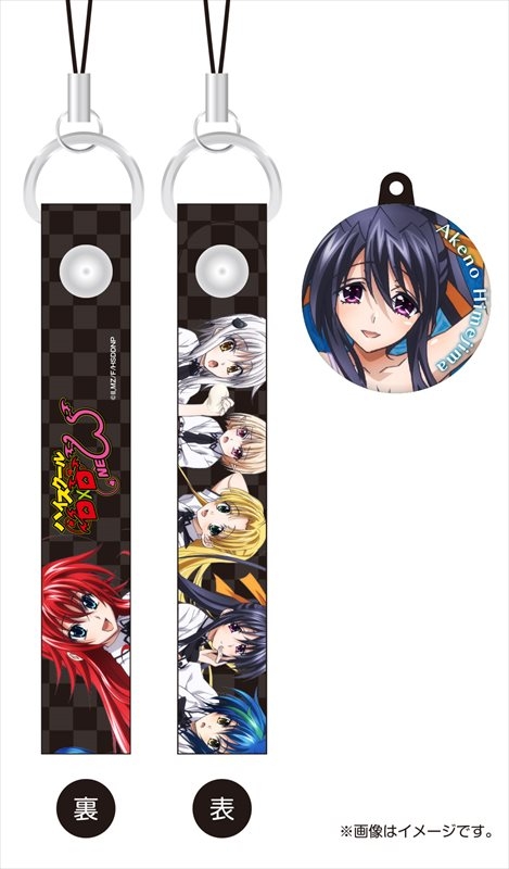 グッズ ストラップ ハイスクールd D New チャーム付きクリーナーストラップ 姫島朱乃 再販 アニメイト
