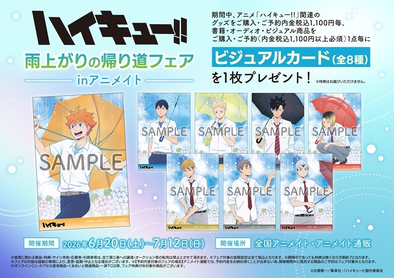 DVD】『劇場版ハイキュー!! ゴミ捨て場の決戦』DVD 豪華版 アニメイト 