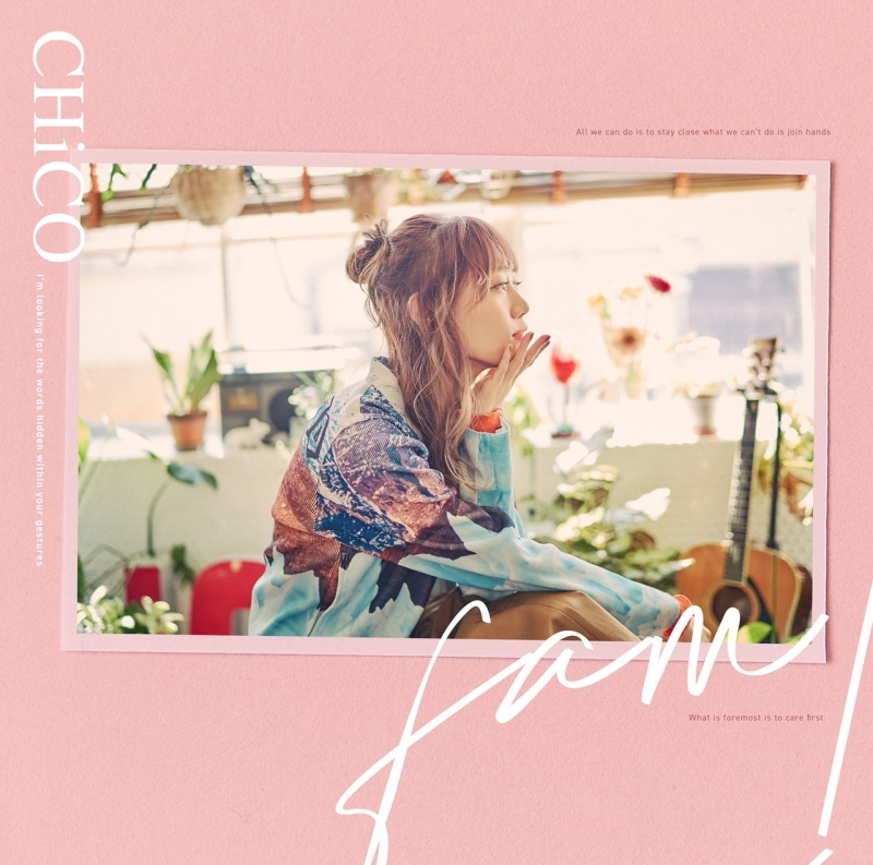 【音楽】TV 夜桜さんちの大作戦 ED「fam!」/CHiCO CHiCO盤