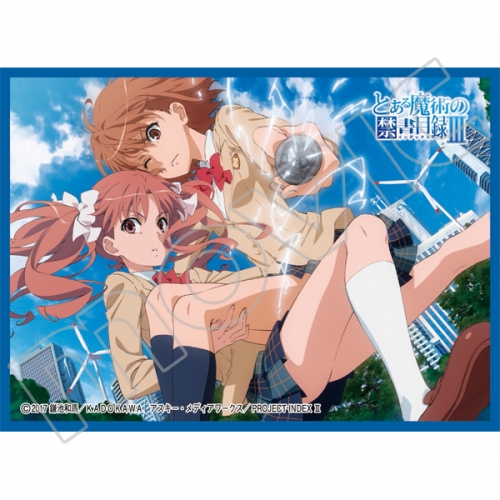 グッズ カードケース きゃらスリーブコレクション マットシリーズ とある魔術の禁書目録 御坂美琴 白井黒子 No Mt611 アニメイト