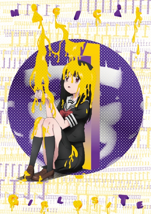 Dvd Tv 魔法少女サイト 第1巻 初回限定版 アニメイト