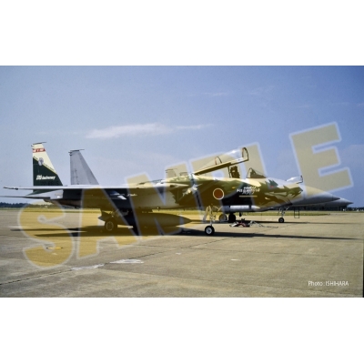 【プラモデル】航空自衛隊 F-15J 第303飛行隊 1997 F-15機種改編10周年 記念塗装機 1/72