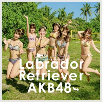 マキシシングル】AKB48/ラブラドール・レトリバー Type K 初回限定盤 