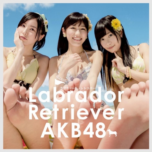 マキシシングル Akb48 ラブラドール レトリバー Type 4 初回限定盤 アニメイト