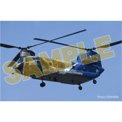 【プラモデル】航空自衛隊 CH-47J チヌーク 航空救難団 2008 創立50周年記念塗装機 1/72