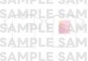 【グッズ-Tシャツ】ミュージカル「ヘタリア~The World Concert~」 LIVE Tシャツ WHITE ver.【再販】の画像