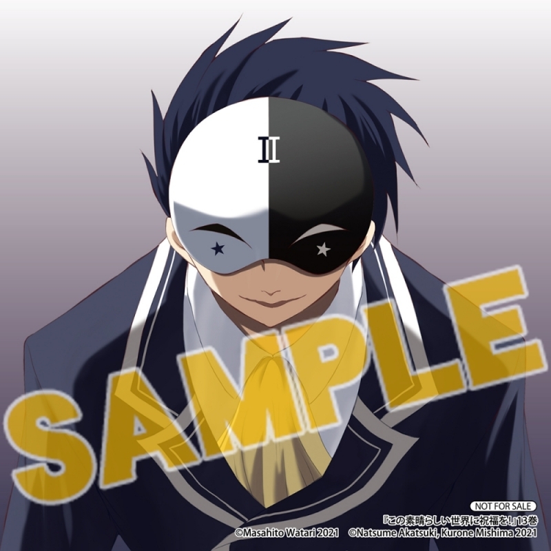 コミック この素晴らしい世界に祝福を 13 アニメイト