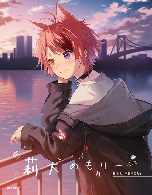 【その他(書籍)】莉犬めもりー