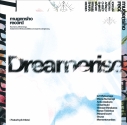 【音楽】無原唱レコード Dreameriseの画像