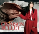 【音楽】TV 魔法少女リリカルなのは EXCEEDS Gun Blaze Vengeance OP「CRIMSON BULLET」/水樹奈々の画像