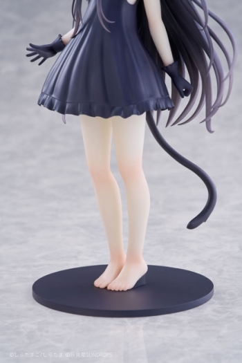美少女フィギュア】星空鉄道とシロの旅 ノワール 1/7 完成品フィギュア 
