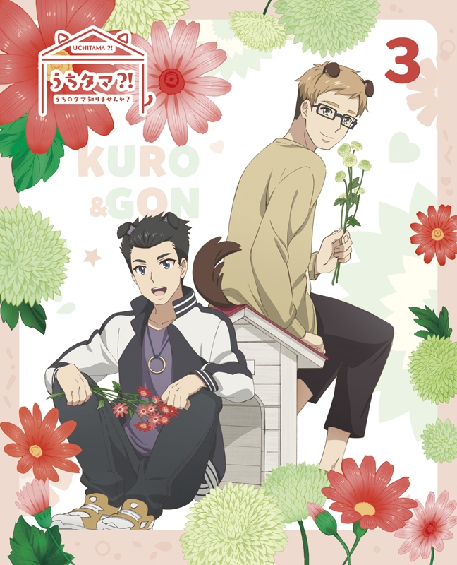 【DVD】TV うちタマ?!~うちのタマ知りませんか?~3 完全生産限定版