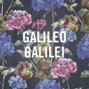 【主題歌】映画 台風のノルダ 主題歌「嵐のあとで」/Galileo Galilei 通常盤の画像