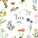 【音楽】ClariS/Iris 通常盤の画像