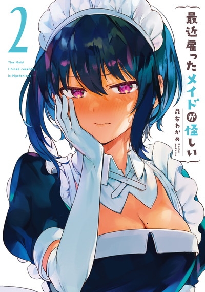 コミック 最近雇ったメイドが怪しい 2 アニメイト