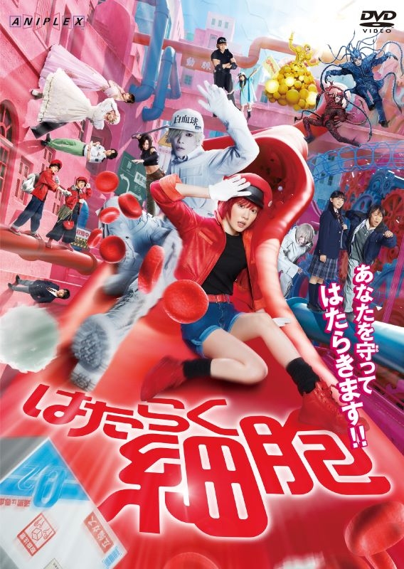 【DVD】映画 実写 はたらく細胞【通常版】