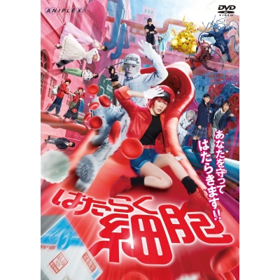 【DVD】映画 実写 はたらく細胞【通常版】