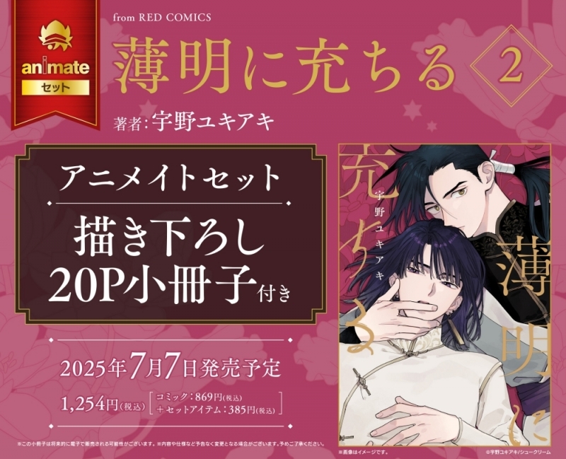 【コミック】薄明に充ちる(2) アニメイトセット【描き下ろし20P小冊子付き】