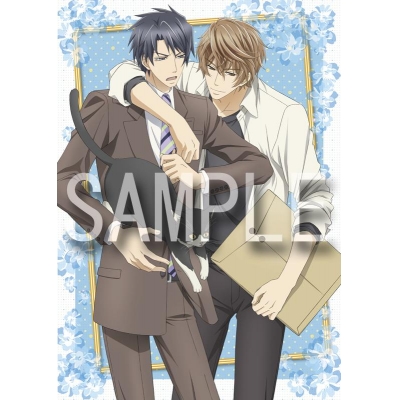 【DVD】劇場版 世界一初恋~横澤隆史の場合~ 限定版