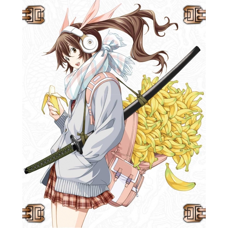 Dvd Ova 真 一騎当千 アニメイト Dvd Ova 真 一騎当千 アニメイト