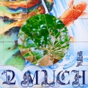 【アルバム】龍宮城/2 MUCH 完全生産限定盤の画像