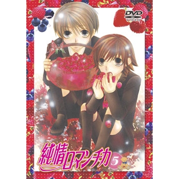 【DVD】TV 純情ロマンチカ 5 限定版