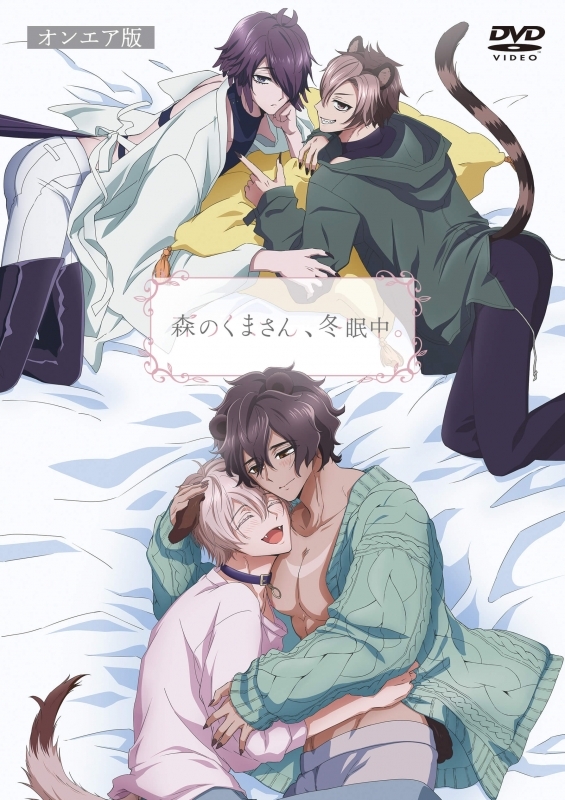 【DVD】TV 森のくまさん、冬眠中。オンエア版