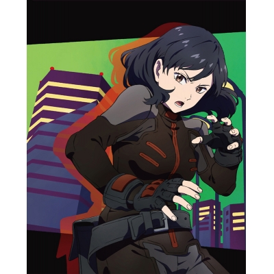 ブギーポップは笑わない 検索結果 アニメイト