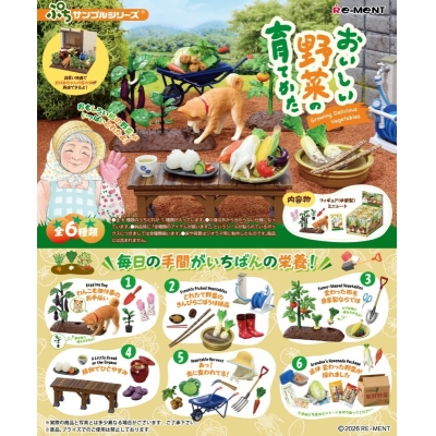 【トレーディングフィギュア】ぷちサンプルシリーズ おいしい野菜の育てかた