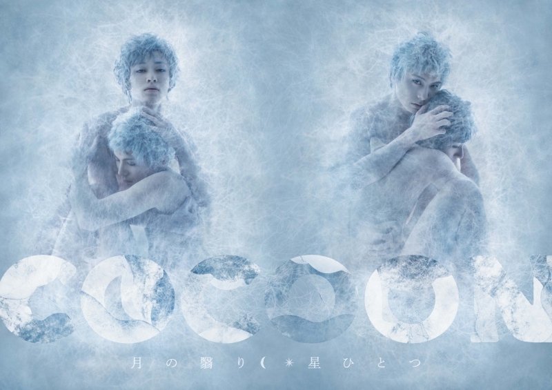 【DVD一括購入】舞台 COCOON 月の翳り/星ひとつ