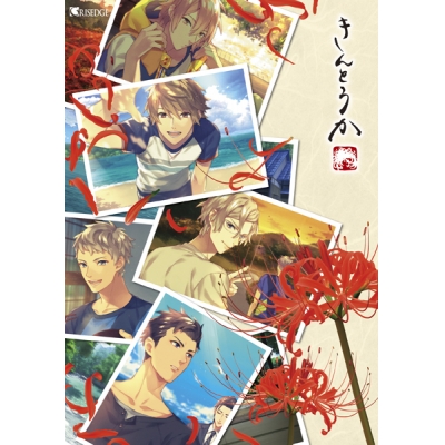 【データ販売】きんとうか <PCダウンロード版>(GRISEDGE)