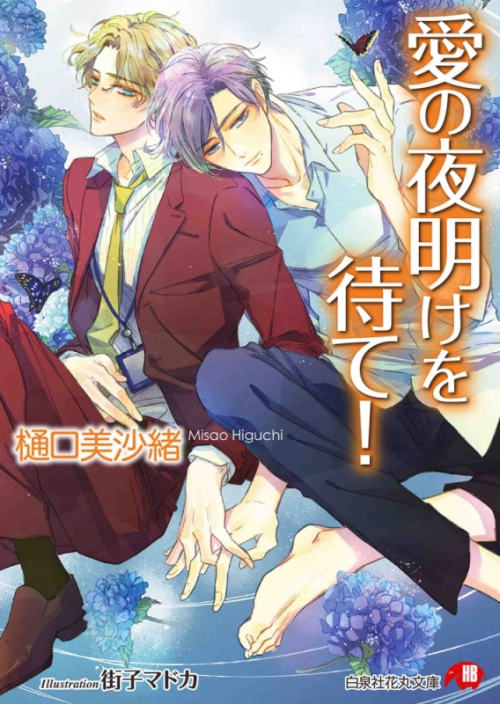 小説 愛の夜明けを待て アニメイト