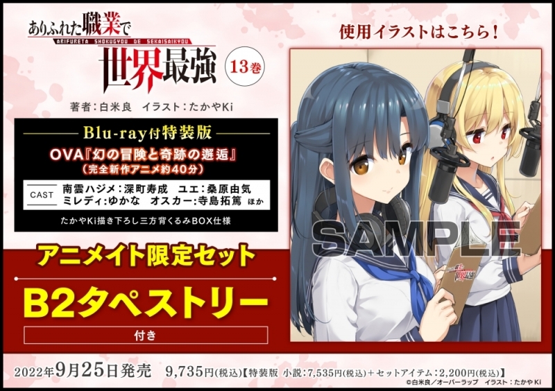 【小説】ありふれた職業で世界最強(13) Blu-ray付特装版 アニメイト限定セット【B2タペストリー付き】