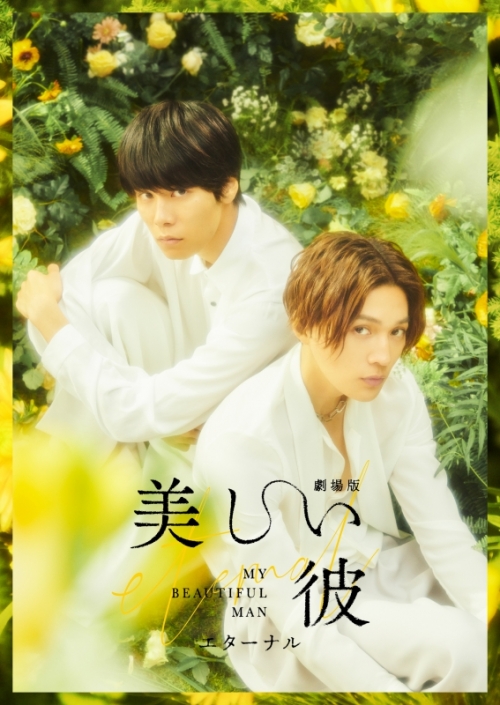 DVD】劇場版 美しい彼～eternal～ 豪華版 初回生産限定 全巻収納 
