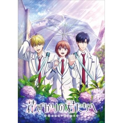 【airavalky還元版(20%)・特典なし】【DVD】TV 花ざかりの君たちへ 第2期 DVD BOX Vol.2【完全生産限定版】