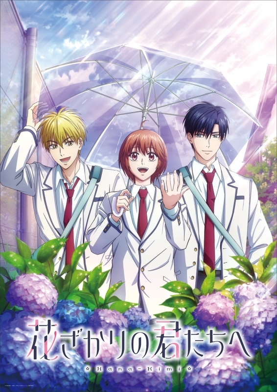 【DVD一括購入】【ポイント還元版(20%)・特典なし】TV 花ざかりの君たちへ 第2期 DVD BOX 【完全生産限定版】 Vol.1～Vol.2
