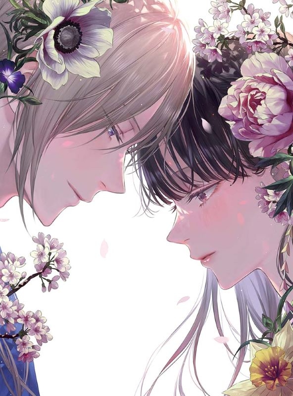 【ポイント還元版(20%)・特典なし】【DVD】TV わたしの幸せな結婚 第二期 第3巻 通常版