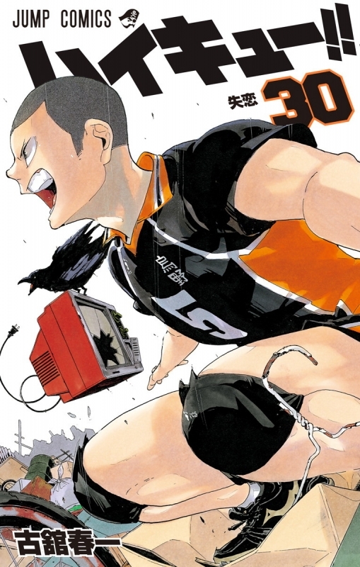 Haikyuu!! Volume 30 - Exciting Volleyball Adventures