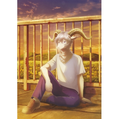 【DVD】TV BEASTARS 2nd Vol.3 初回生産限定版