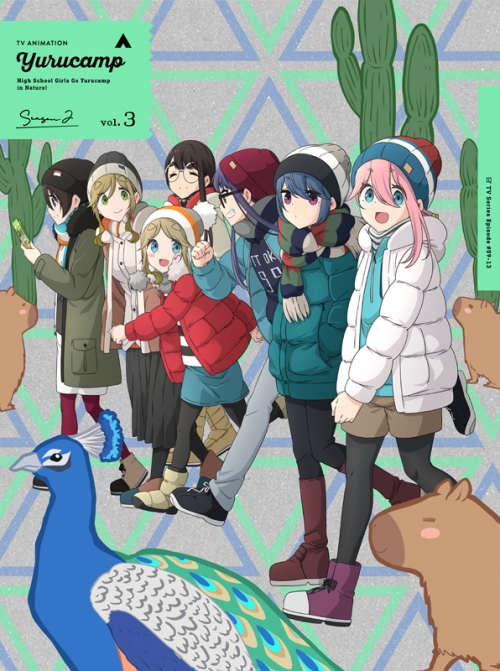 Blu Ray Tv ゆるキャン Season2 第3巻 通常版 アニメイト
