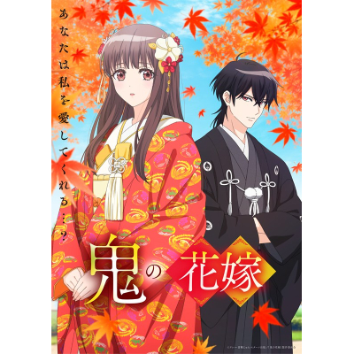 【ポイント還元版(20%)・特典なし】【DVD】TV 鬼の花嫁 6【完全生産限定版】