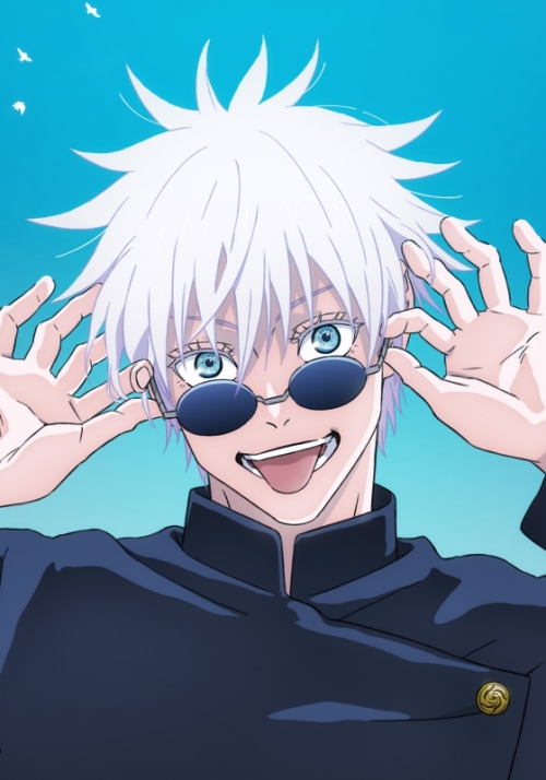 Blu-ray】TV 呪術廻戦 懐玉・玉折 1 | アニメイト
