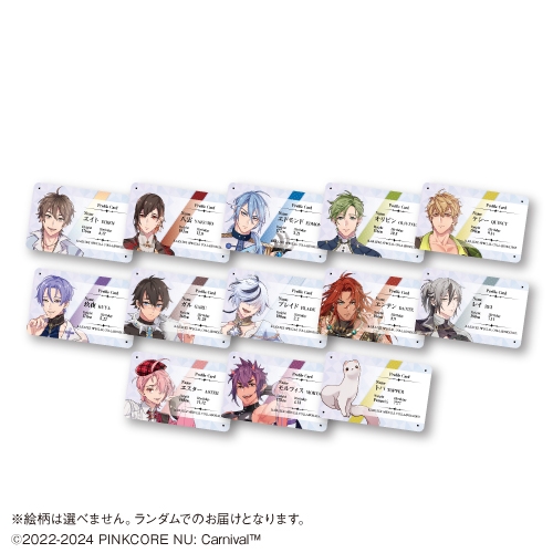 グッズ-カード】NU: カーニバル トレーディングプロフィールカード 