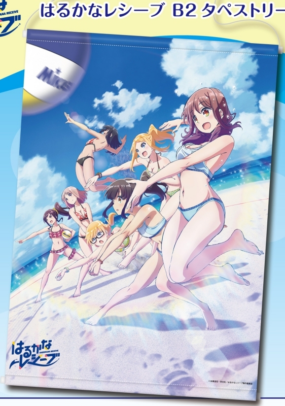 グッズ-タペストリー】はるかなレシーブ B2タペストリー | アニメイト